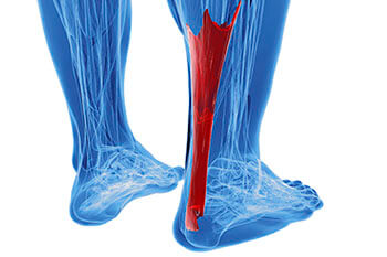 Achilles Tendonitis Treatment in Dyker Heights, NY 11228 and Old Bridge, NJ 08857